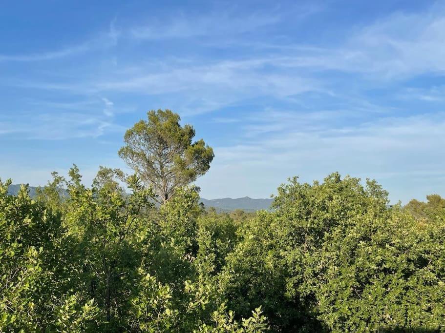 Villa Piscine - Gorges Du Verdon, Lac De Sainte-Croix Régusse Esterno foto