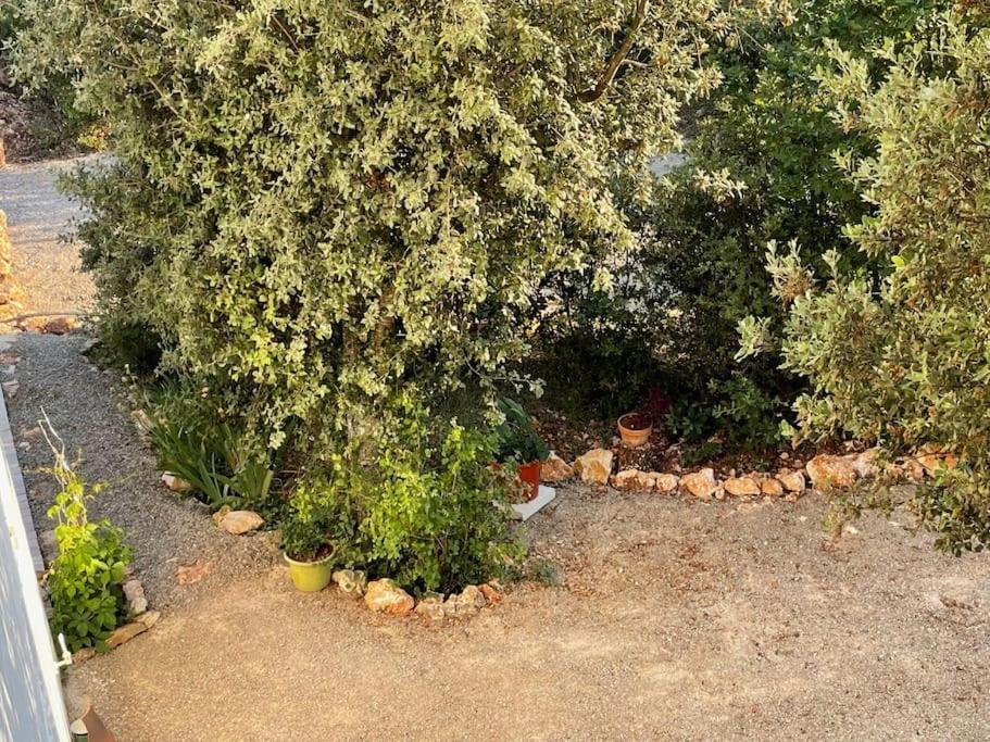 Villa Piscine - Gorges Du Verdon, Lac De Sainte-Croix Régusse Esterno foto