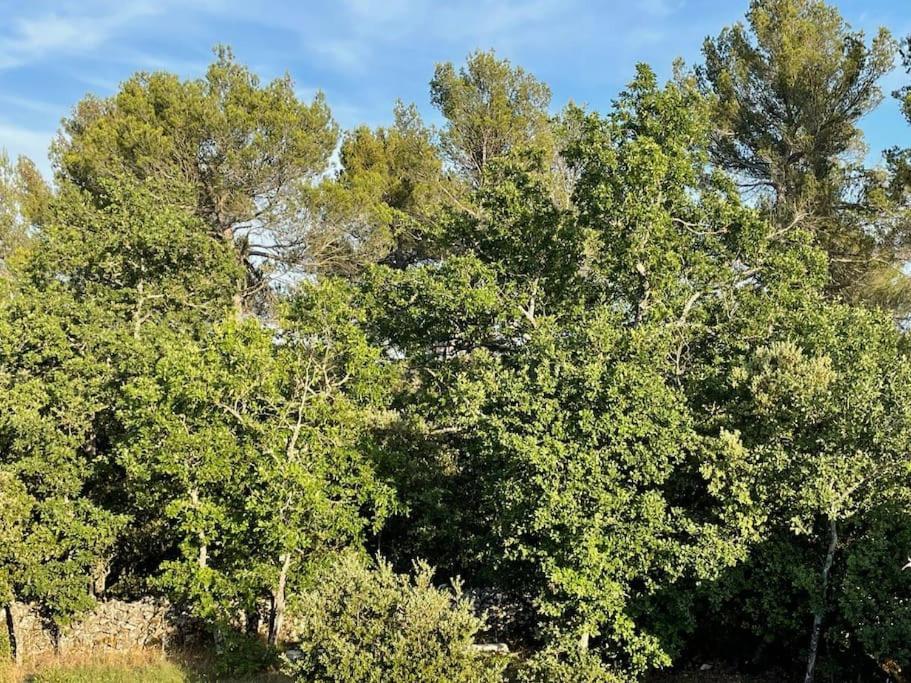 Villa Piscine - Gorges Du Verdon, Lac De Sainte-Croix Régusse Esterno foto